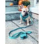 Napa - Adjustable Harness  - XSmall