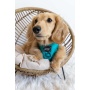 Napa - Adjustable Harness  - XXSmall