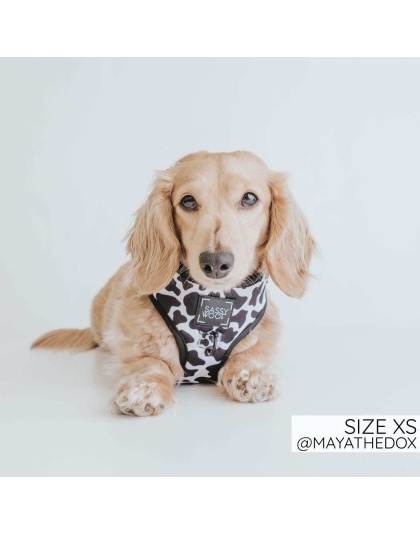 Got Milk - Adjustable Harness  - Small