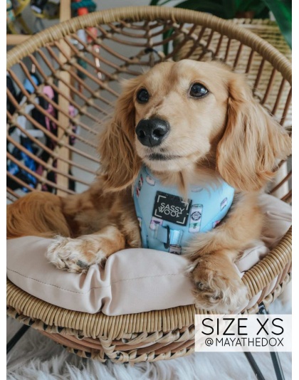 Woof Claw- Sassy Seltzer - Adjustable Harness  - Small