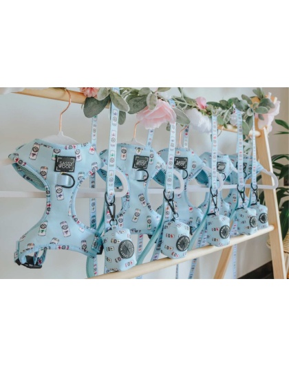 Woof Claw- Sassy Seltzer - Adjustable Harness  - XSmall