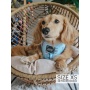 Woof Claw- Sassy Seltzer - Adjustable Harness  - XSmall