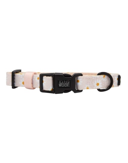 Dainty Daisy - Sassy Woof Dog Collars - Medium