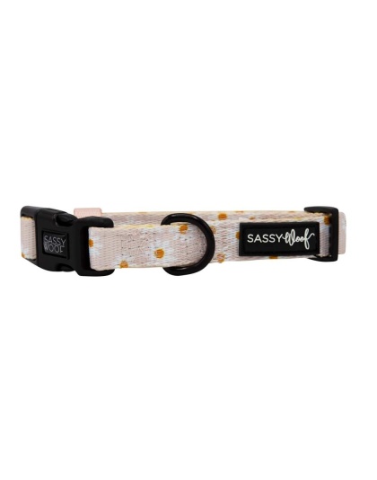 Dainty Daisy - Sassy Woof Dog Collars - Medium