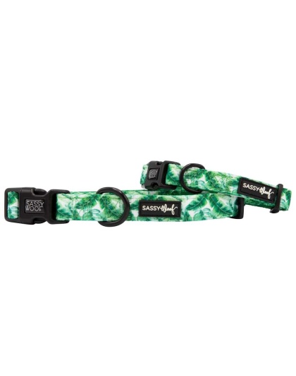 Verano - Sassy Woof Dog Collars - Large