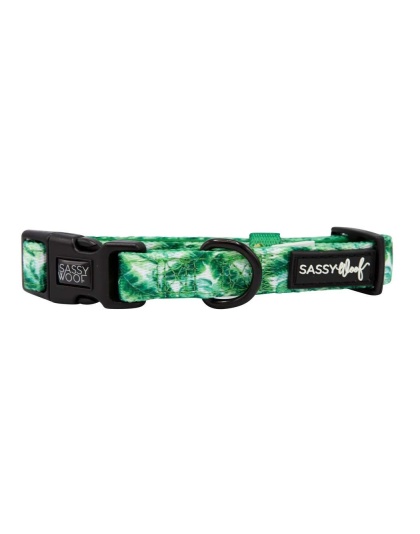 Verano - Sassy Woof Dog Collars - Medium