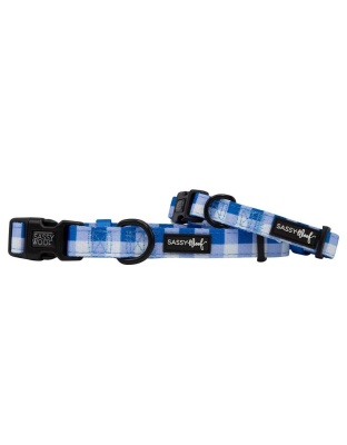 The Wizard of Paws - Sassy Woof Dog Collars - Large