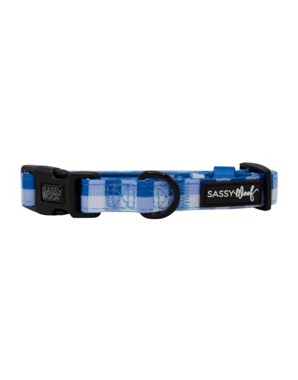 The Wizard of Paws - Sassy Woof Dog Collars - Small