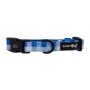 The Wizard of Paws - Sassy Woof Dog Collars - Small