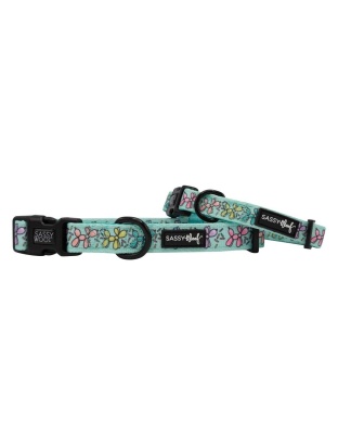 Pup Pup Hooray - Sassy Woof Dog Collars - Large