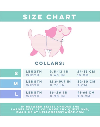 Pup Pup Hooray - Sassy Woof Dog Collars - Medium