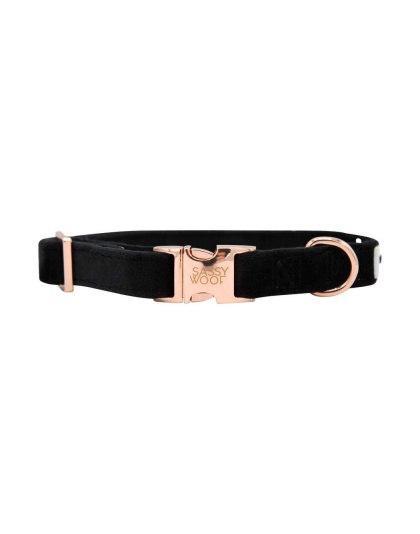 I Do, Too (Black) - Sassy Woof Dog Collars - Small