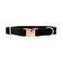 I Do, Too (Black) - Sassy Woof Dog Collars - Small