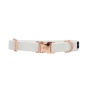 I Do, Too (White) - Sassy Woof Dog Collars - Medium