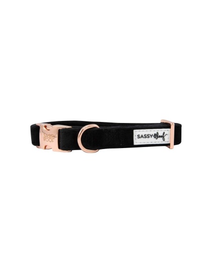I Do, Too (Black) - Sassy Woof Dog Collars - Large