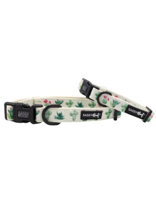 Sass on Point - Sassy Woof Dog Collars - Medium