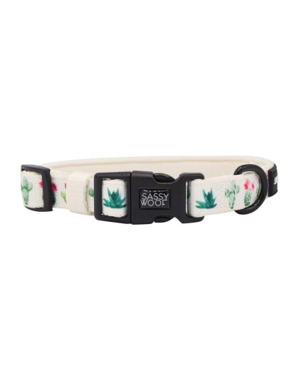 Sass on Point - Sassy Woof Dog Collars - Small