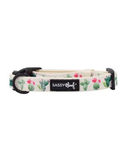 Sass on Point - Sassy Woof Dog Collars - Small