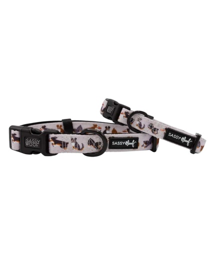 Too Much Auss - Sassy Woof Dog Collars - Medium