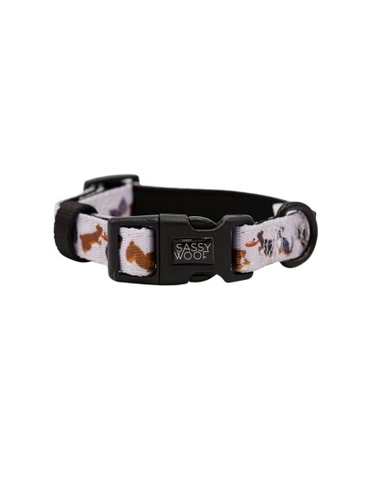 Too Much Auss - Sassy Woof Dog Collars - Medium