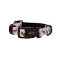 Too Much Auss - Sassy Woof Dog Collars - Medium