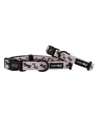 Too Much Auss - Sassy Woof Dog Collars - Small