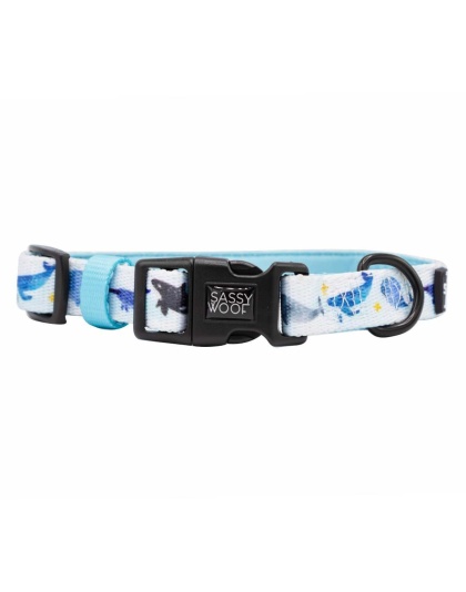 Whale, Hello There - Sassy Woof Dog Collars - Small