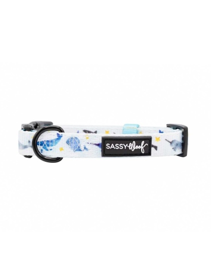 Whale, Hello There - Sassy Woof Dog Collars - Small