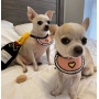 Pink - Love Bibs for Pets -