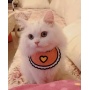 Pink - Love Bibs for Pets -