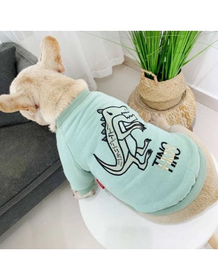 Mint Green - Dinosaur Love - Matching Pet and Owner Clothing Set -   Large