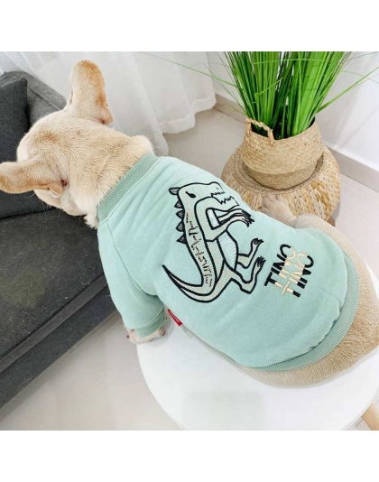 Mint Green - Dinosaur Love - Matching Pet and Owner Clothing Set -   Small