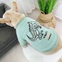 Mint Green - Dinosaur Love - Matching Pet and Owner Clothing Set -   Small