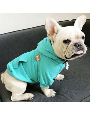 Blue - Matching Pet and Owner Clothing Set | Hoodie -   Small