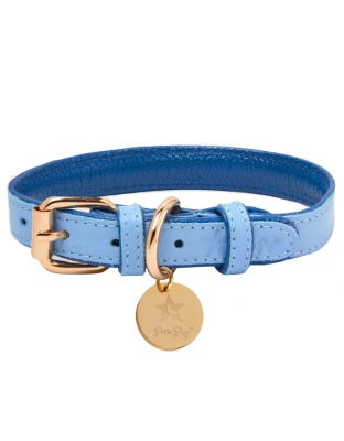 Ocean Vibes - Dog Collar  - Medium