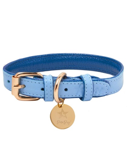 Ocean Vibes - Dog Collar  - Medium