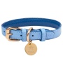 Ocean Vibes - Dog Collar  - Medium