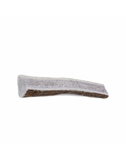 Split Antler Chew - Medium