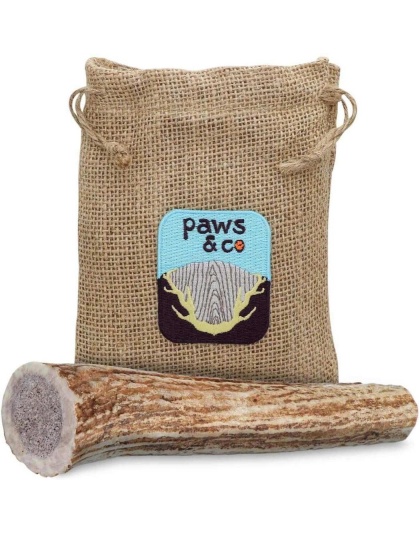 Whole Antler Chew - Medium