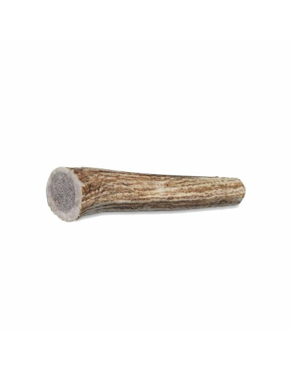 Whole Antler Chew - Medium