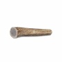 Whole Antler Chew - Medium