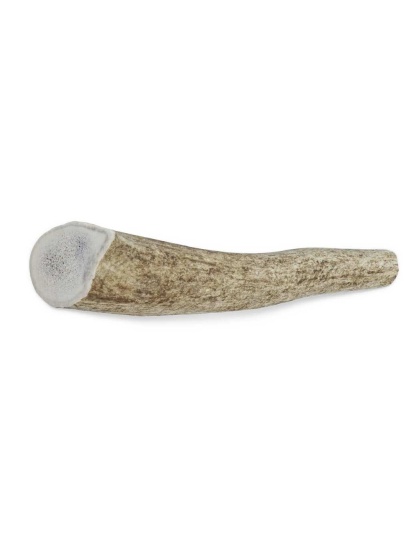 Whole Antler Chew - XLarge