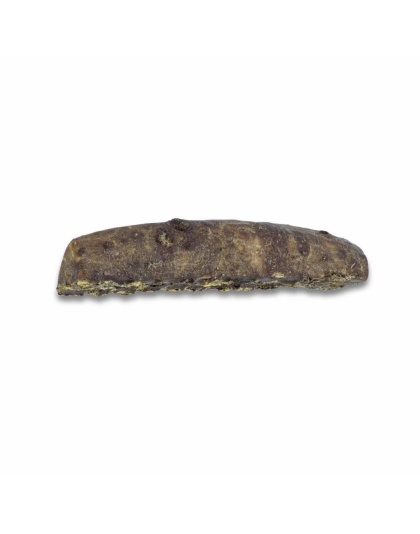 Dipped Split Antler Chew - Medium