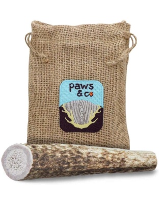 Whole Antler Chew - Small