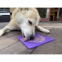 Purple - Bones Design eMat Enrichment Lick Mat