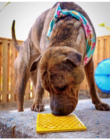 Yellow - Honeycomb Design Emat Enrichment Lick Mat - Large