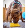 Yellow - Honeycomb Design Emat Enrichment Lick Mat - Large