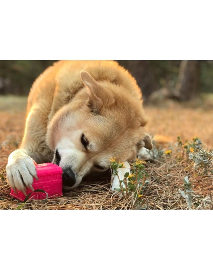 Green - MKB Surf's Up! Retro Van  Durable Chew Toy & Treat Dispenser
