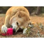 Green - MKB Surf's Up! Retro Van  Durable Chew Toy & Treat Dispenser