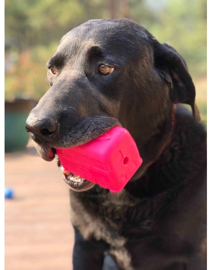Green - MKB Surf's Up! Retro Van  Durable Chew Toy & Treat Dispenser